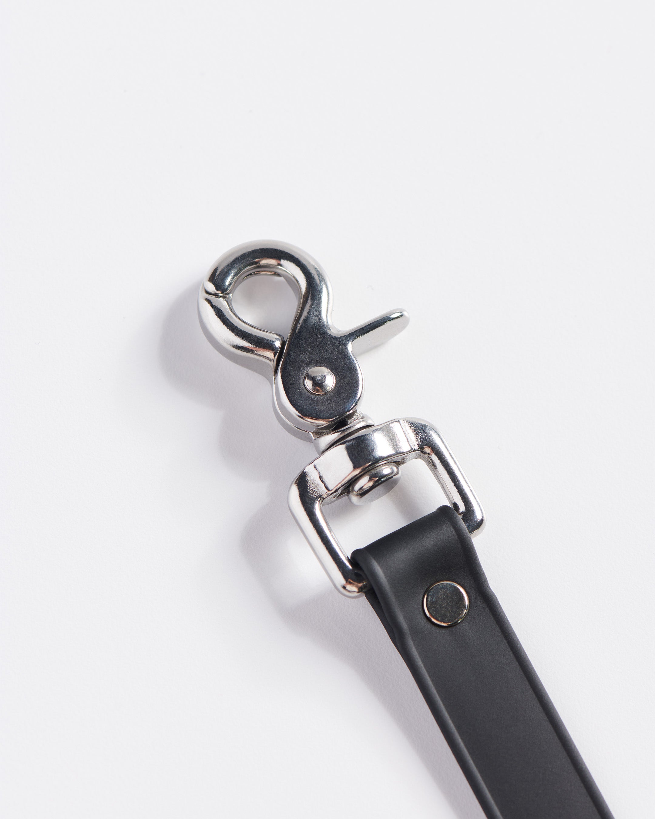 SnapT Loop Extension