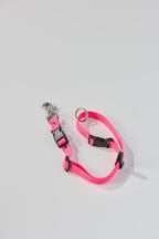 SnapT Signature Grooming Loop + Extender Set (Pink)