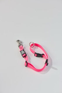 SnapT Signature Grooming Loop + Extender Set (Pink)
