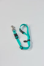 SnapT Signature Grooming Loop + Extender Set (Teal)