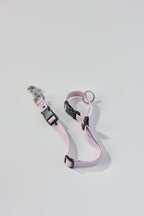 SnapT Signature Grooming Loop + Extender Set (Lavender)