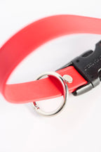 Jess Adorno Collab Red Signature Grooming Loop + Extender Set