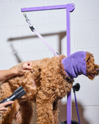 SnapT Signature Grooming Loop + Extender Set