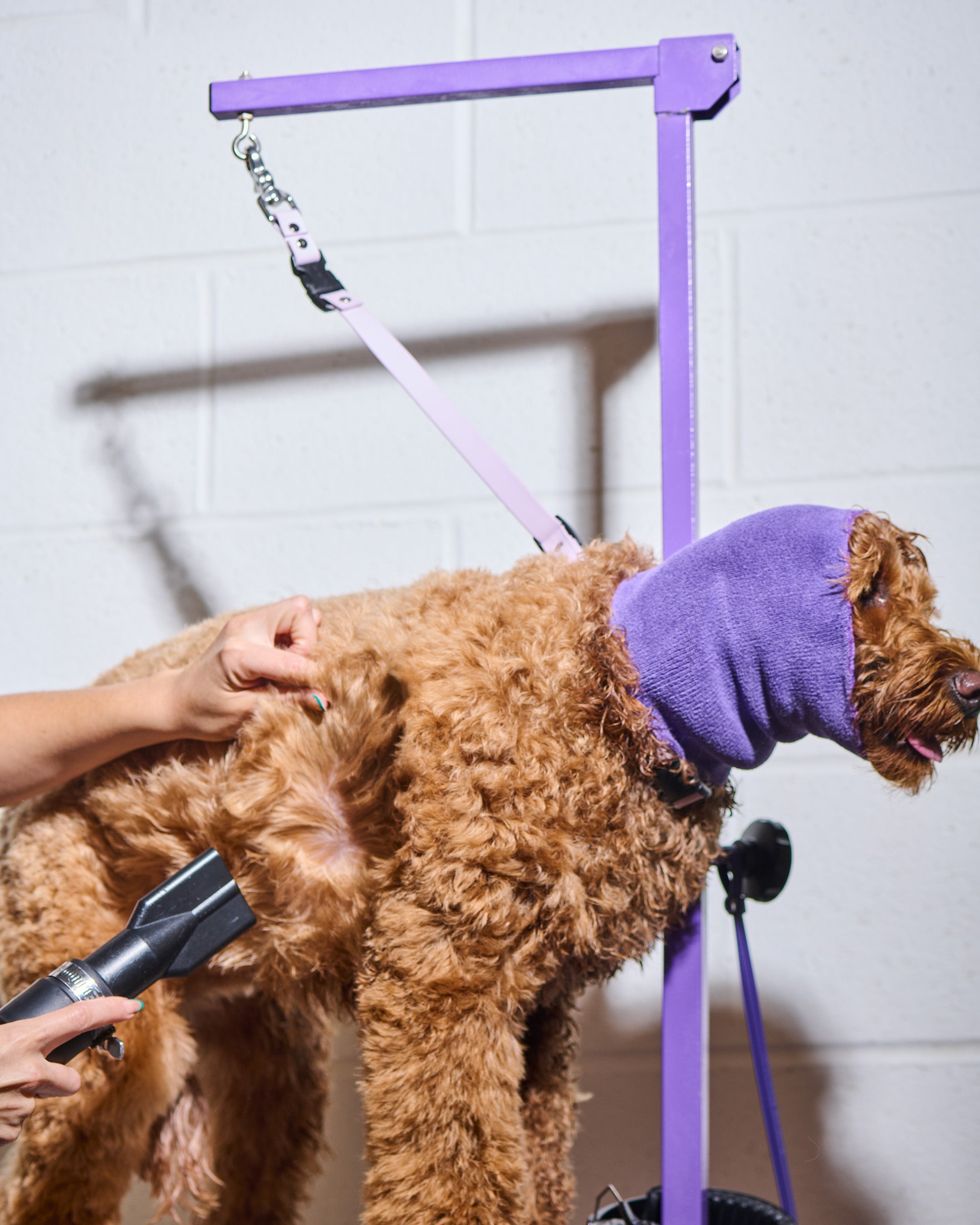 The SnapT Family – 4 Piece Set