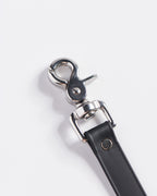 SnapT Loop Extension