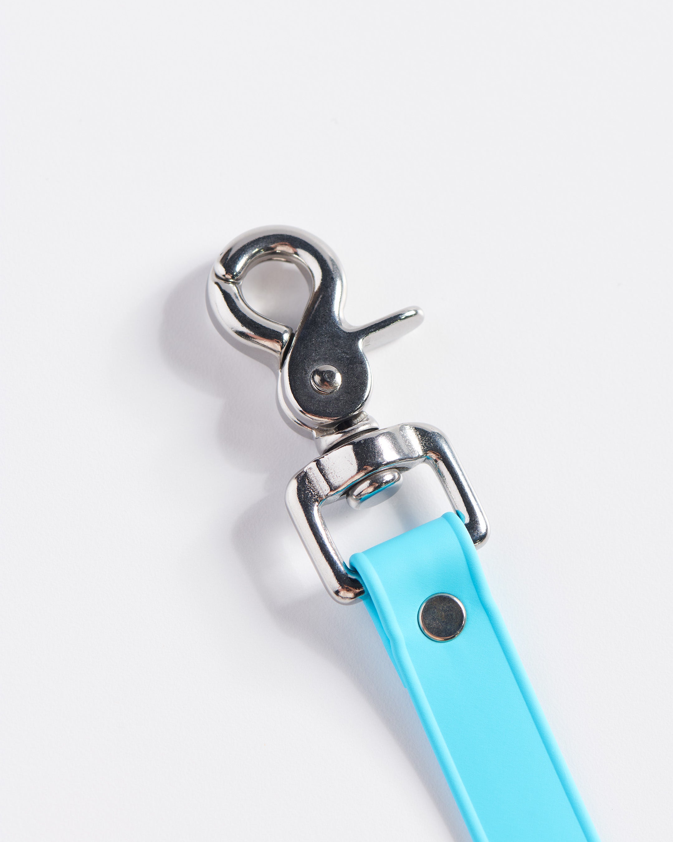 SnapT Loop Extension