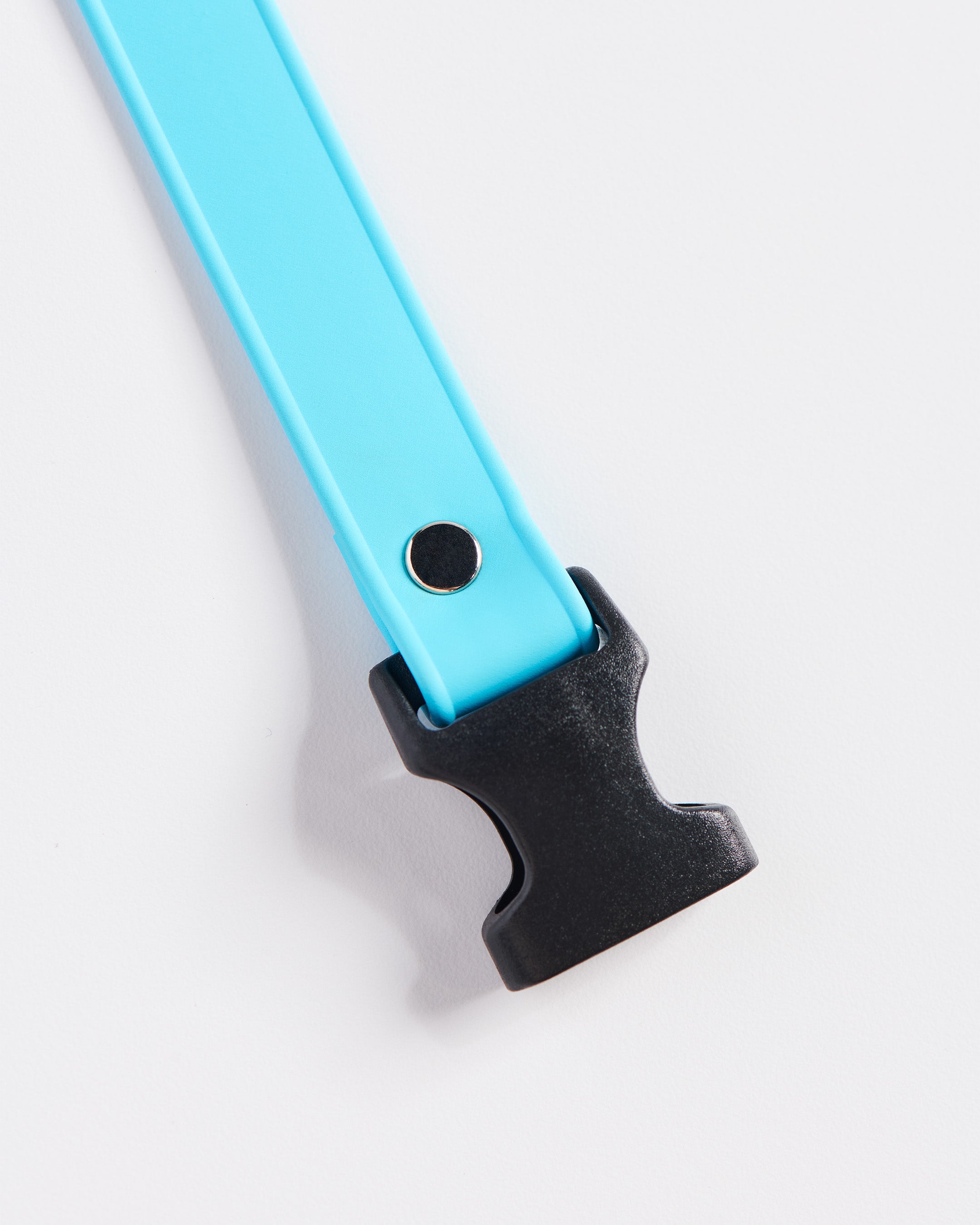 SnapT Loop Extension