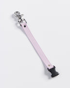 SnapT Loop Extension