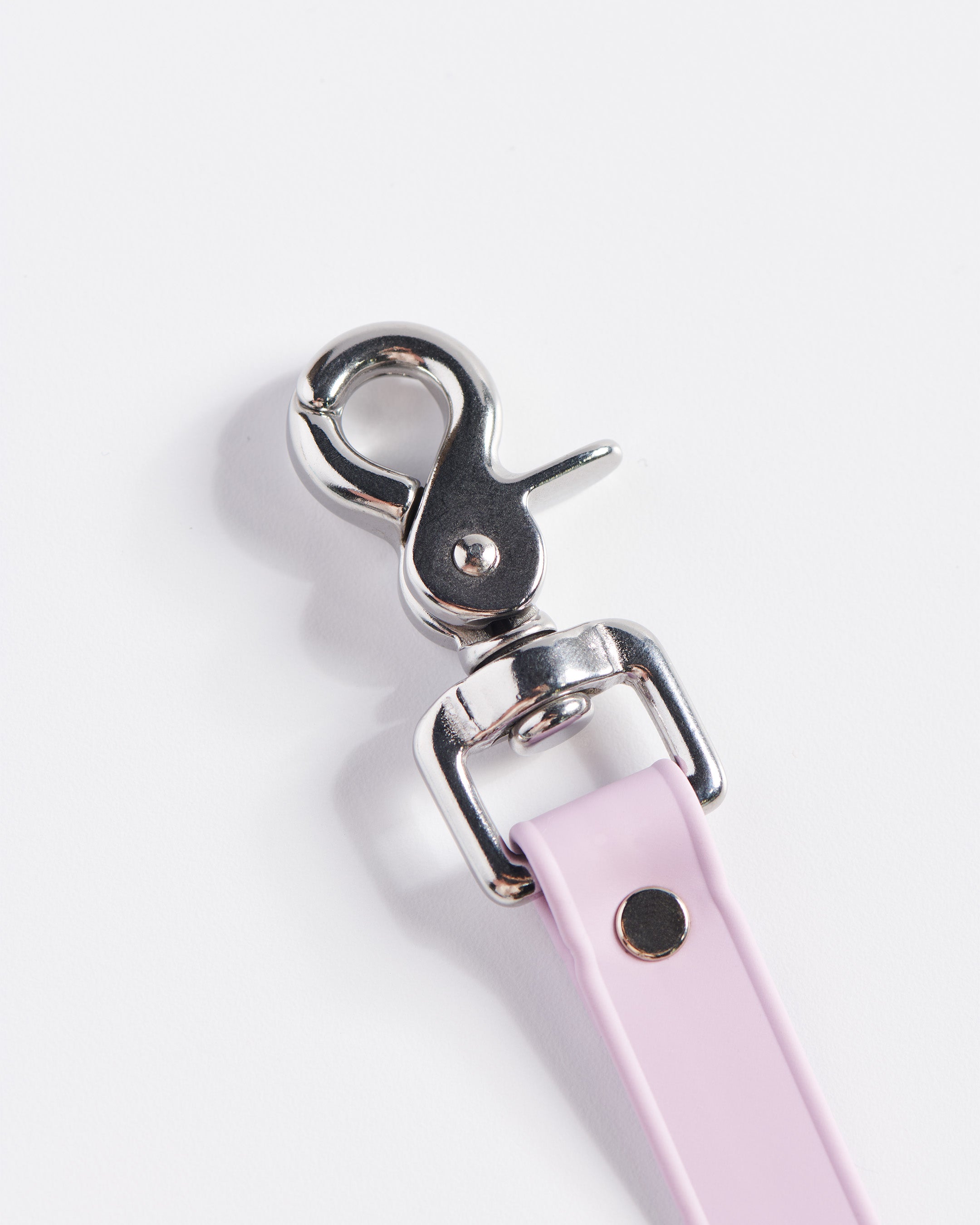 SnapT Loop Extension