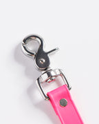 SnapT Loop Extension