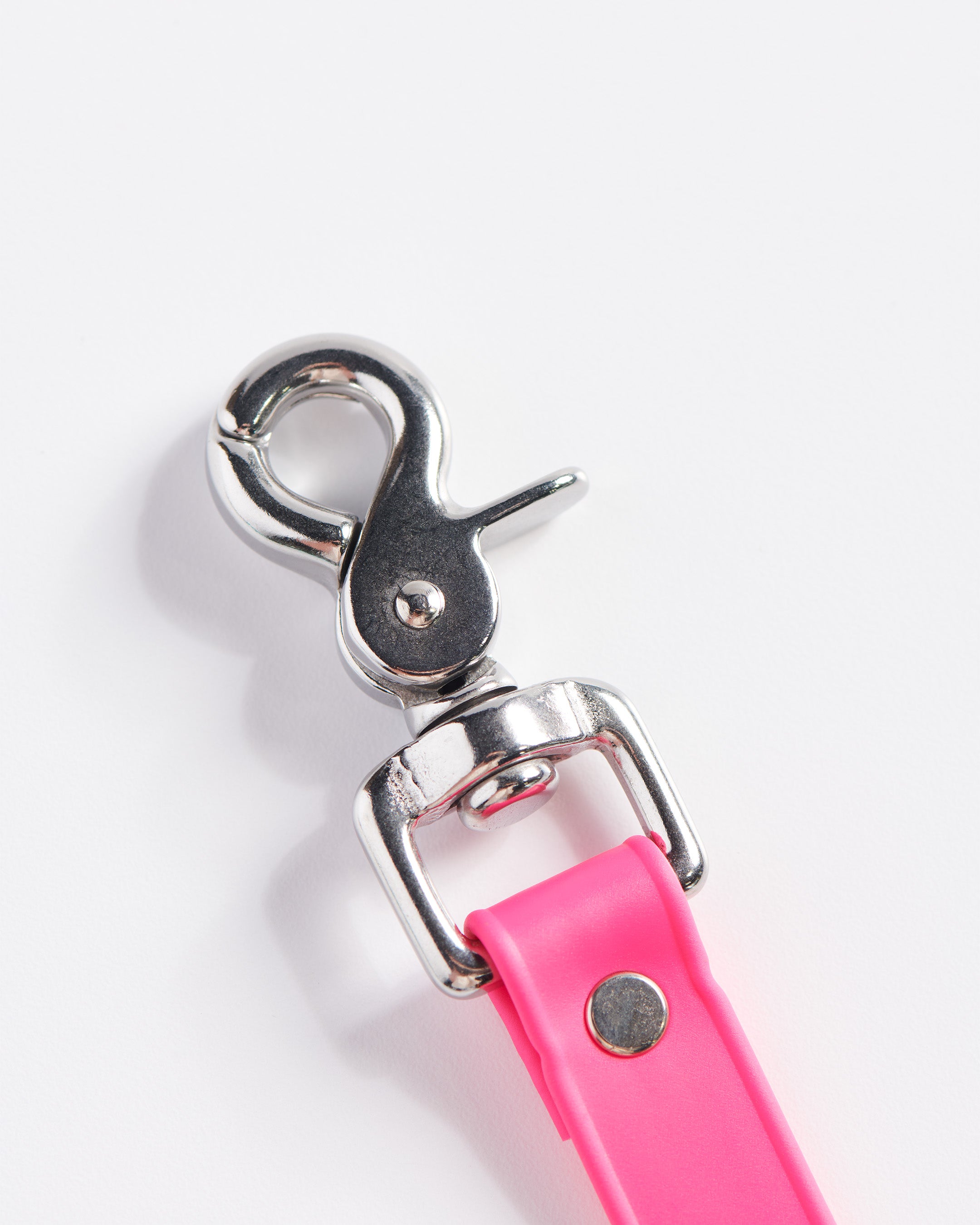 SnapT Loop Extension