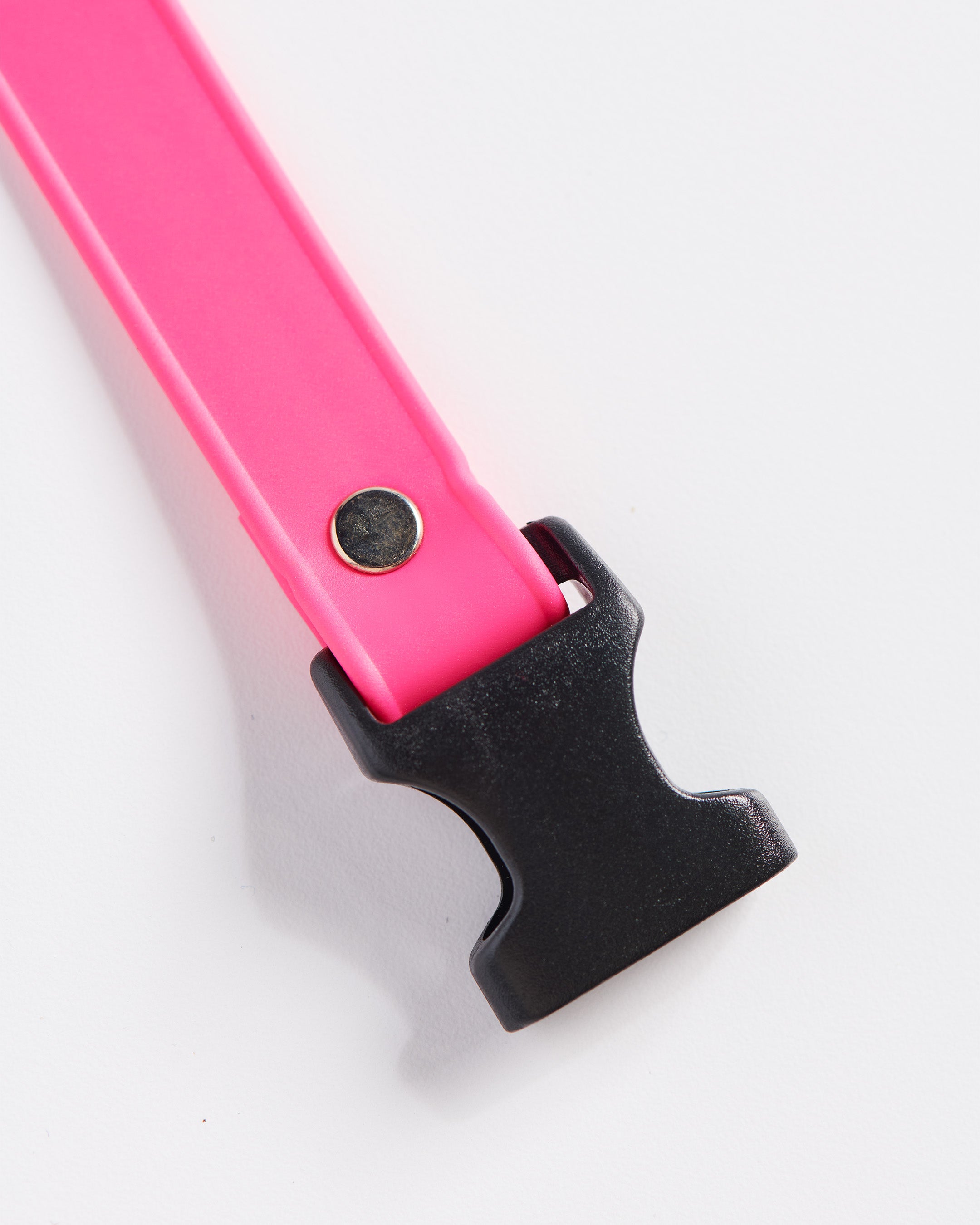 SnapT Loop Extension