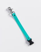 SnapT Loop Extension