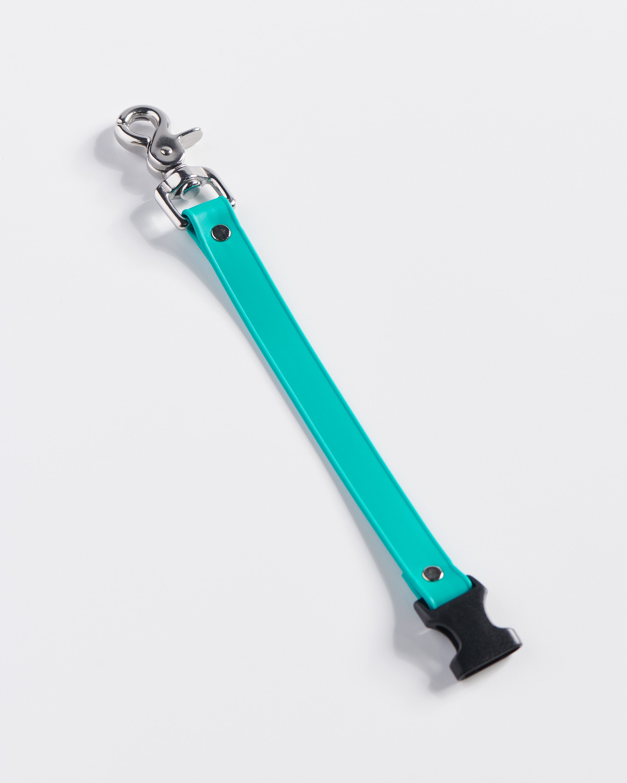 SnapT Loop Extension