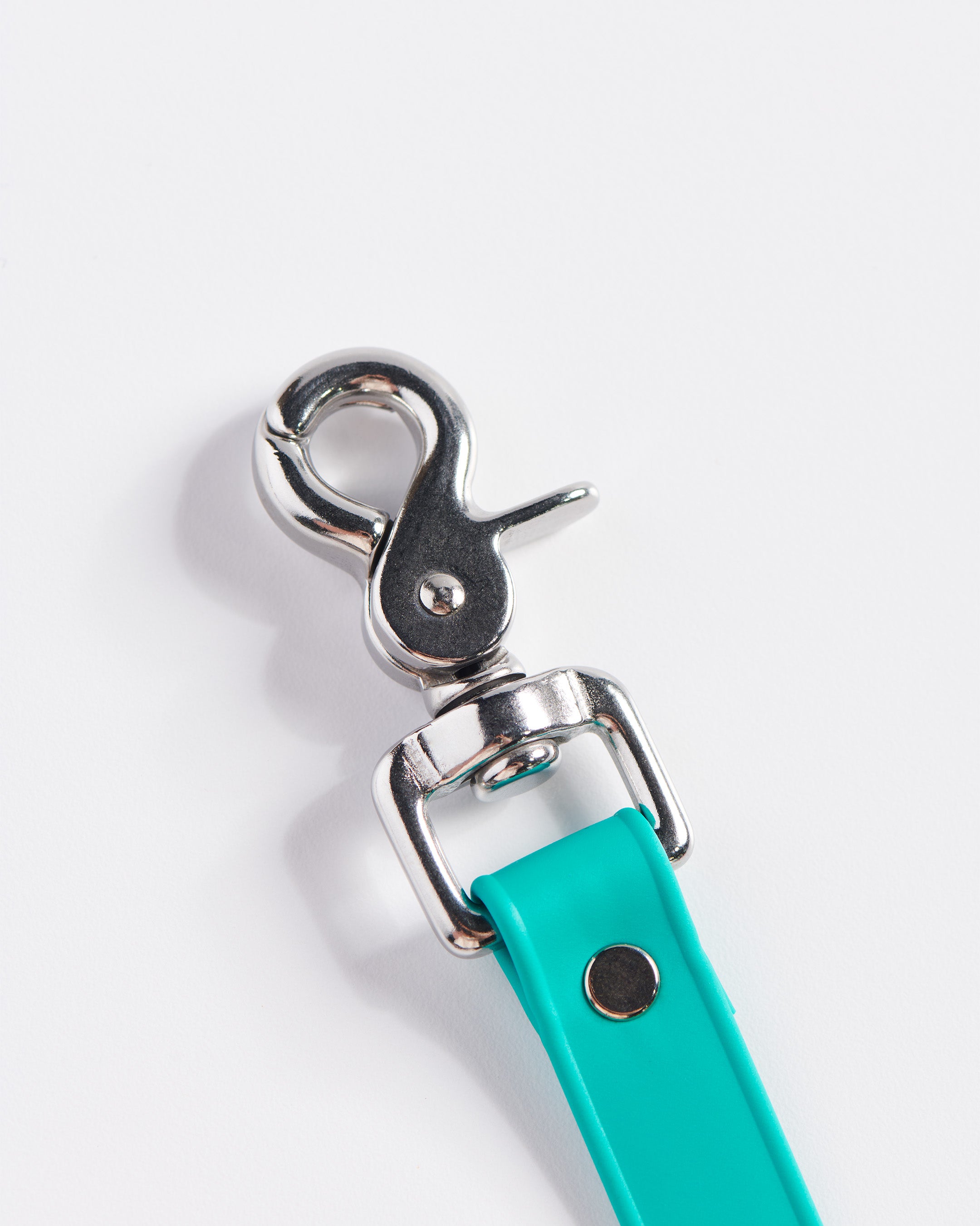 SnapT Loop Extension