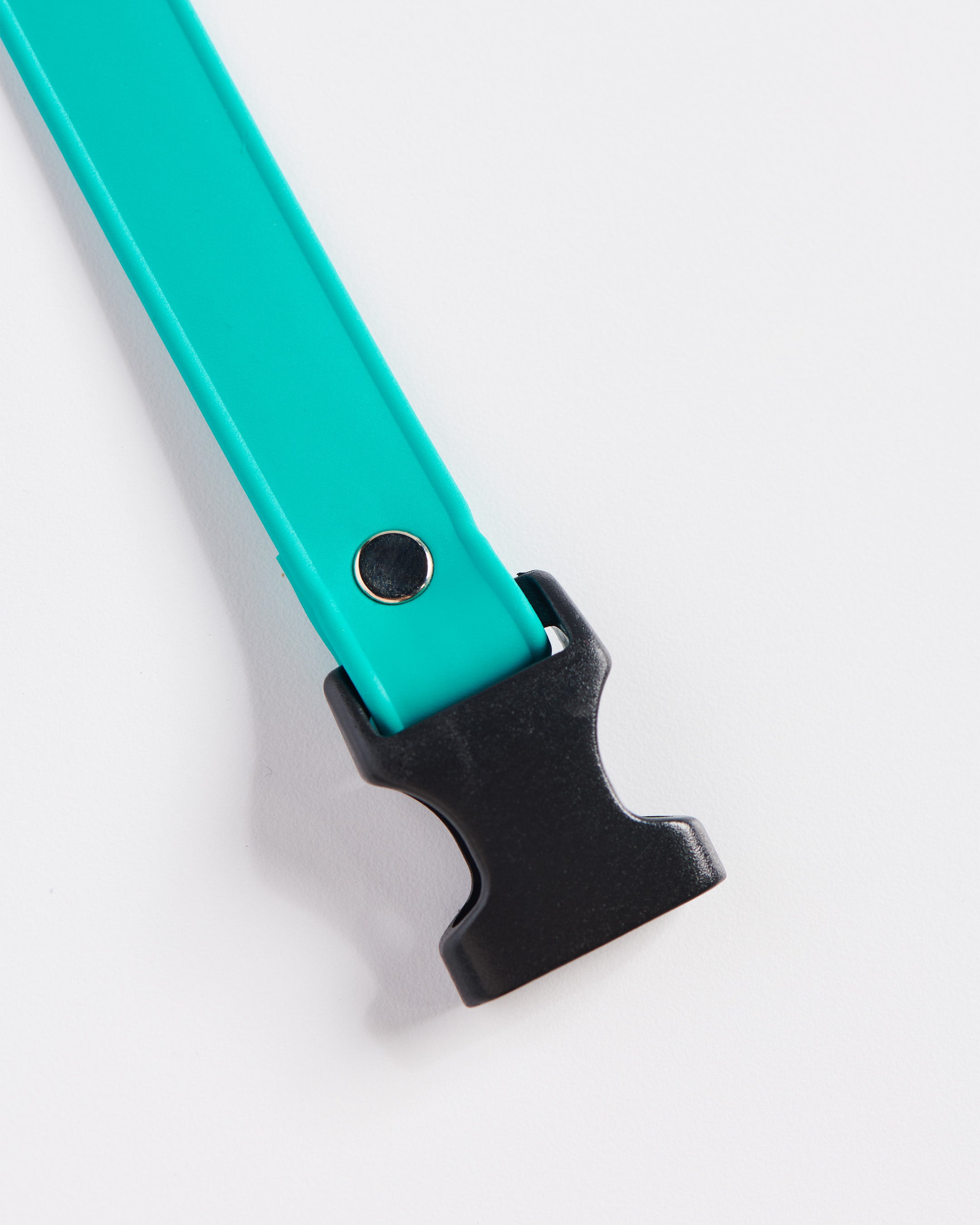 SnapT Loop Extension